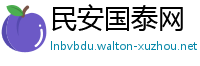 民安国泰网